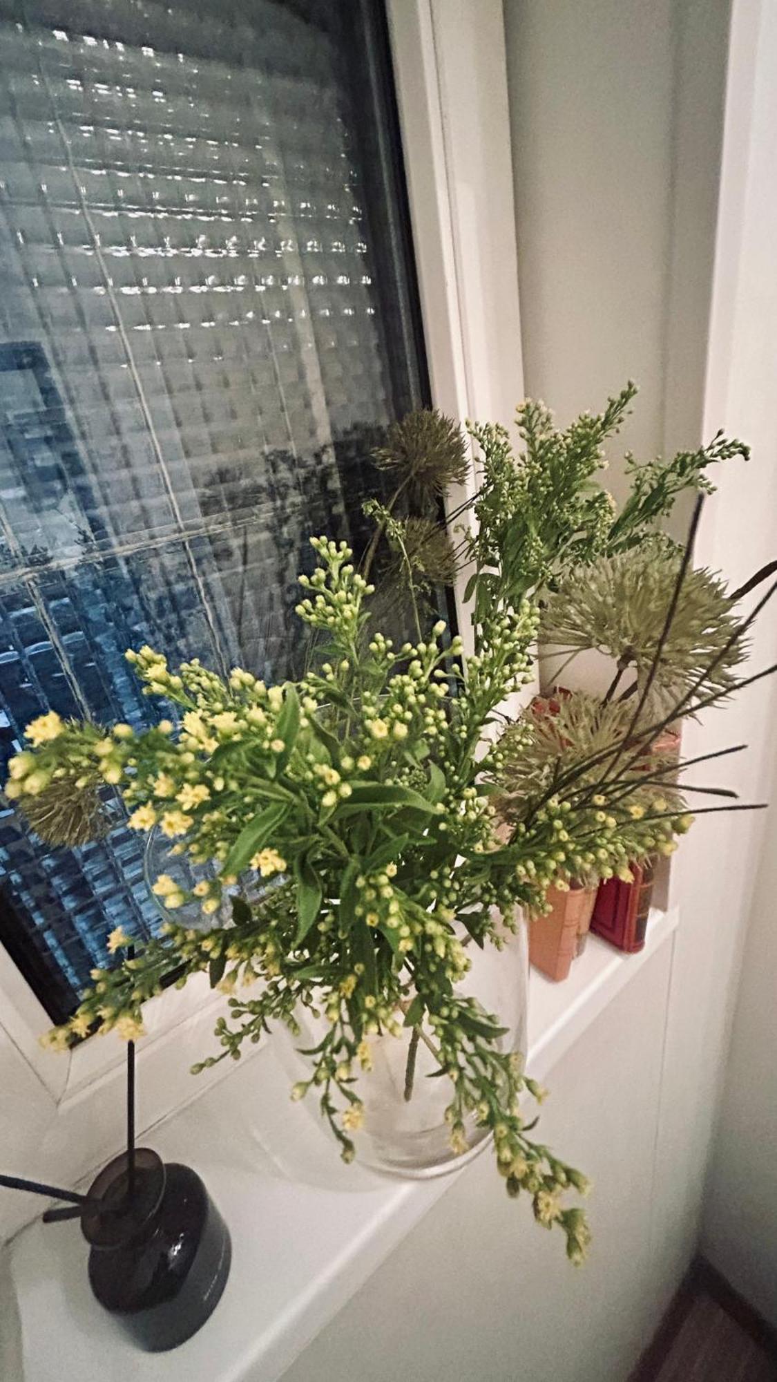 Little Oasis Close To The Opera 부다페스트 외부 사진